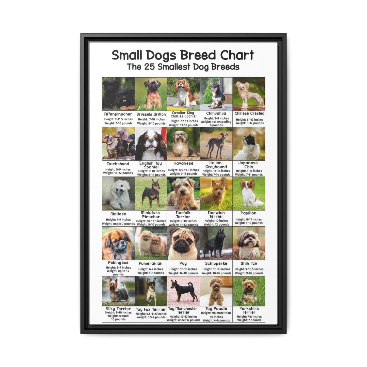 Small Dogs Breed Chart, 25 Smallest Dog Breeds Vertical Poster
