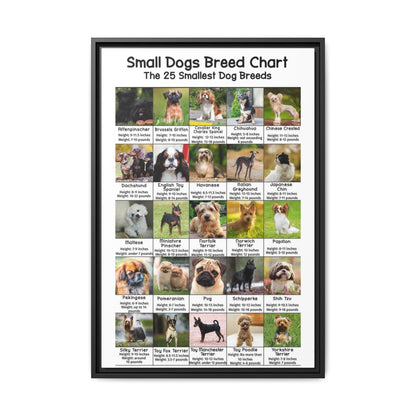 Small Dogs Breed Chart, 25 Smallest Dog Breeds Vertical Poster
