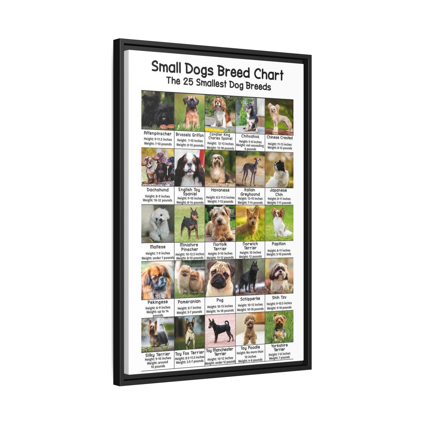 Small Dogs Breed Chart, 25 Smallest Dog Breeds Vertical Poster