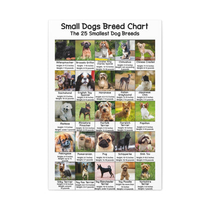 Small Dogs Breed Chart, 25 Smallest Dog Breeds Vertical Poster
