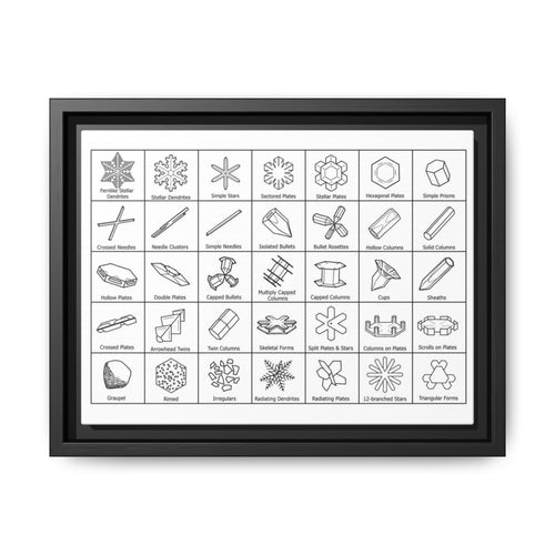 Snowflakes Types Guide Poster, Different Snowflake Shapes Vertical Poster