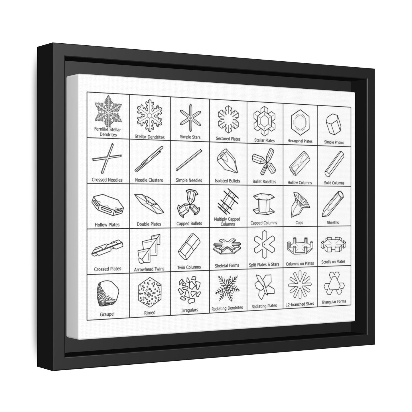 Snowflakes Types Guide Poster, Different Snowflake Shapes Vertical Poster
