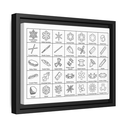 Snowflakes Types Guide Poster, Different Snowflake Shapes Vertical Poster