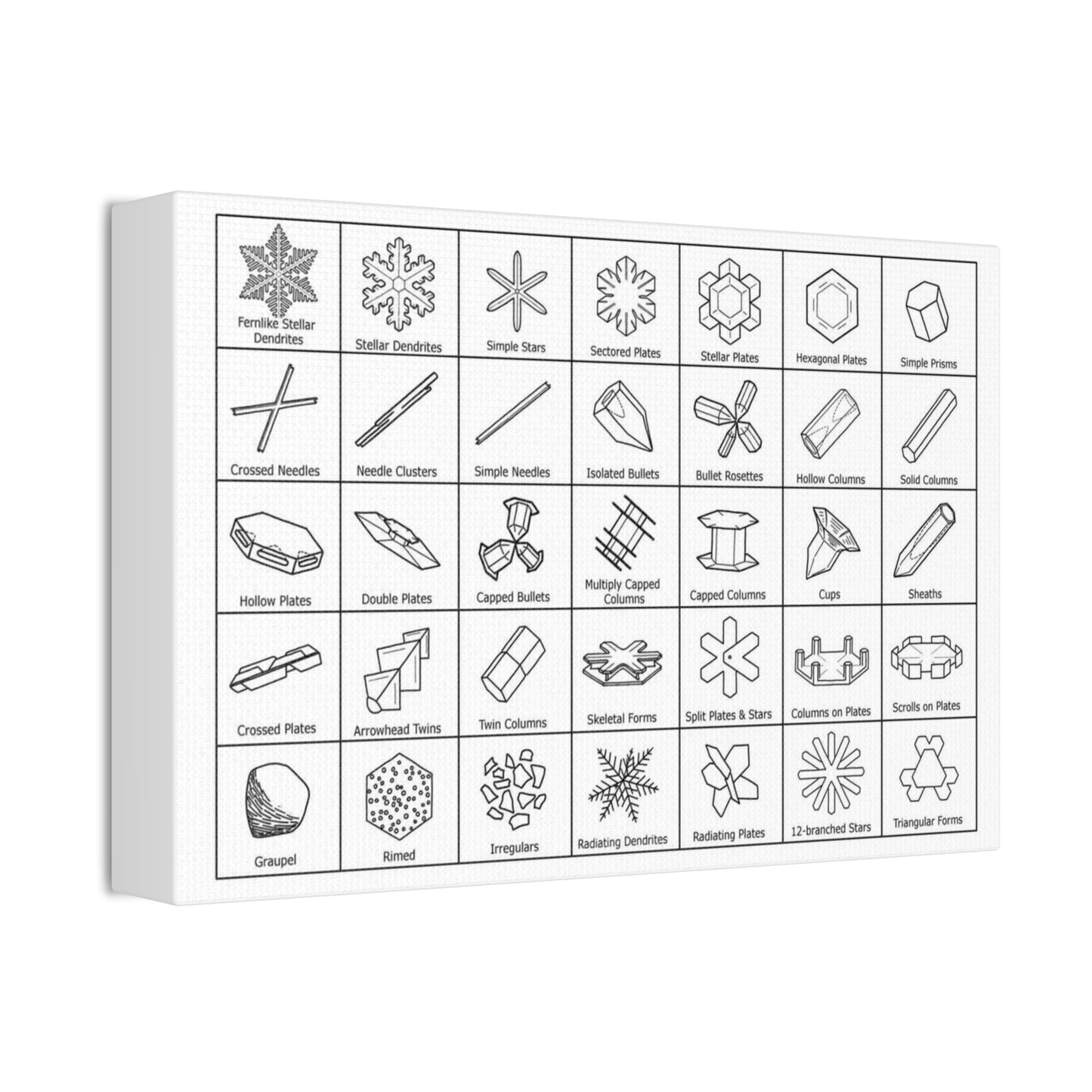 Snowflakes Types Guide Poster, Different Snowflake Shapes Vertical Poster