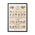 Tea Guide Poster, Types of Tea Chart, Tea Processing Infographic, Vintage Kitchen Wall Art Canvas Print