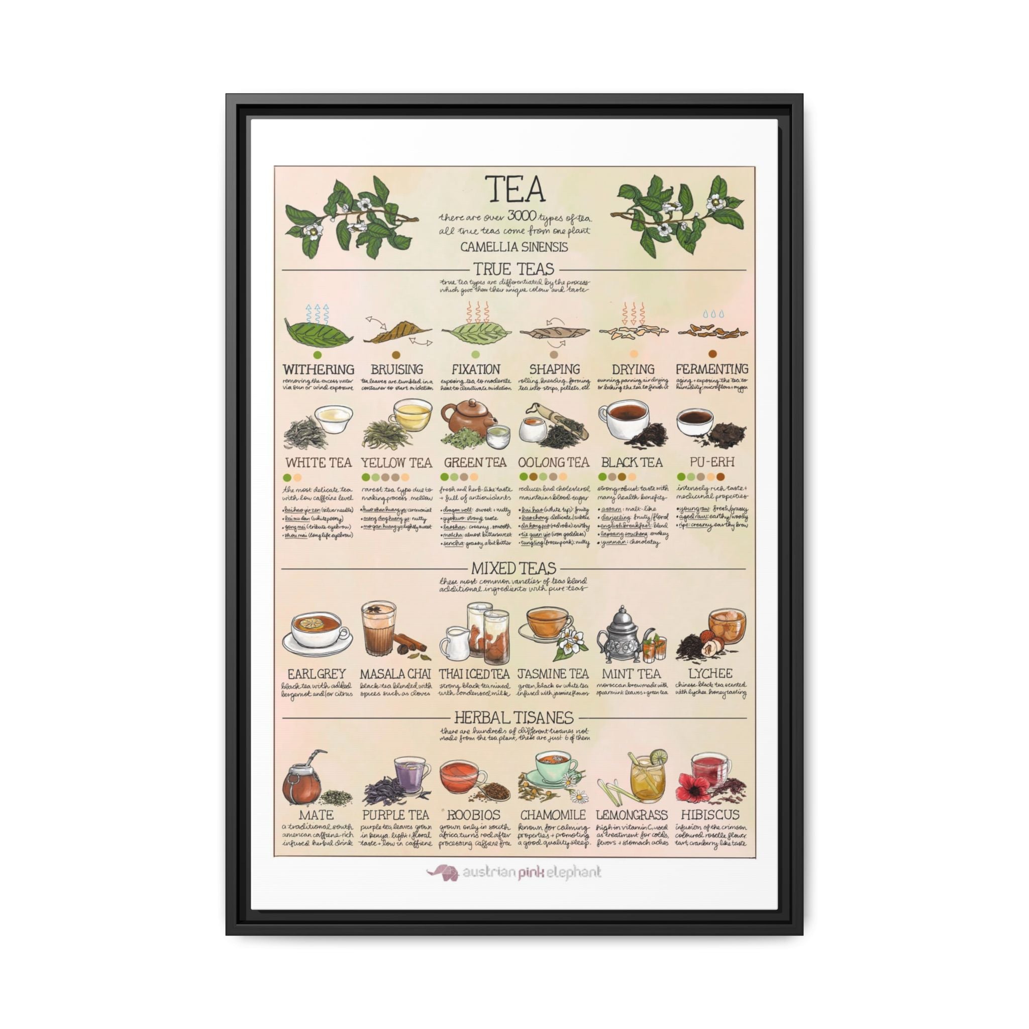 Tea Guide Poster, Types of Tea Chart, Tea Processing Infographic, Vintage Kitchen Wall Art Canvas Print