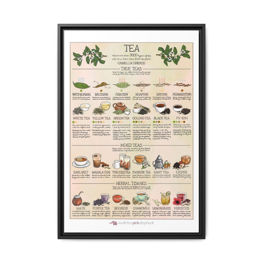 Tea Guide Poster, Types of Tea Chart, Tea Processing Infographic, Vintage Kitchen Wall Art Canvas Print