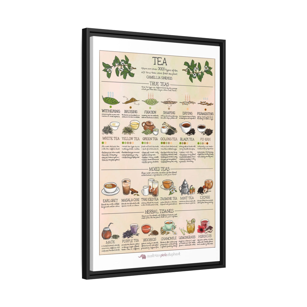 Tea Guide Poster, Types of Tea Chart, Tea Processing Infographic, Vintage Kitchen Wall Art Canvas Print