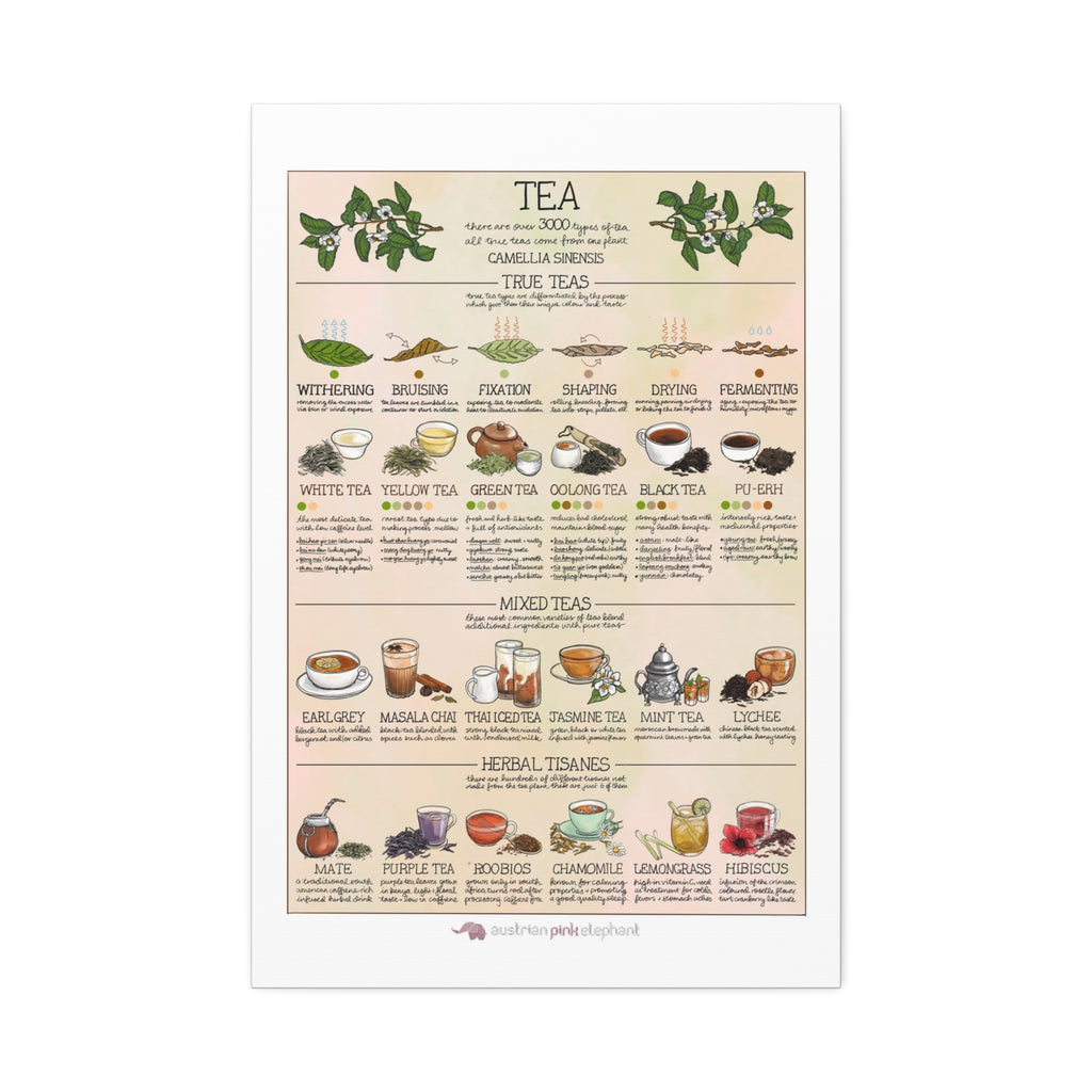 Tea Guide Poster, Types of Tea Chart, Tea Processing Infographic, Vintage Kitchen Wall Art Canvas Print