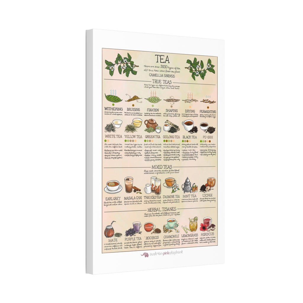 Tea Guide Poster, Types of Tea Chart, Tea Processing Infographic, Vintage Kitchen Wall Art Canvas Print