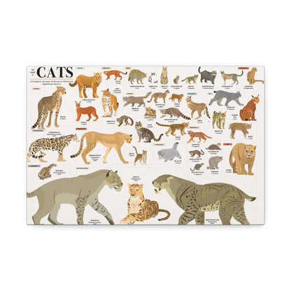 The Chart Of Cats Species Identification Poster, Feline Wildlife Guide Vertical Poster