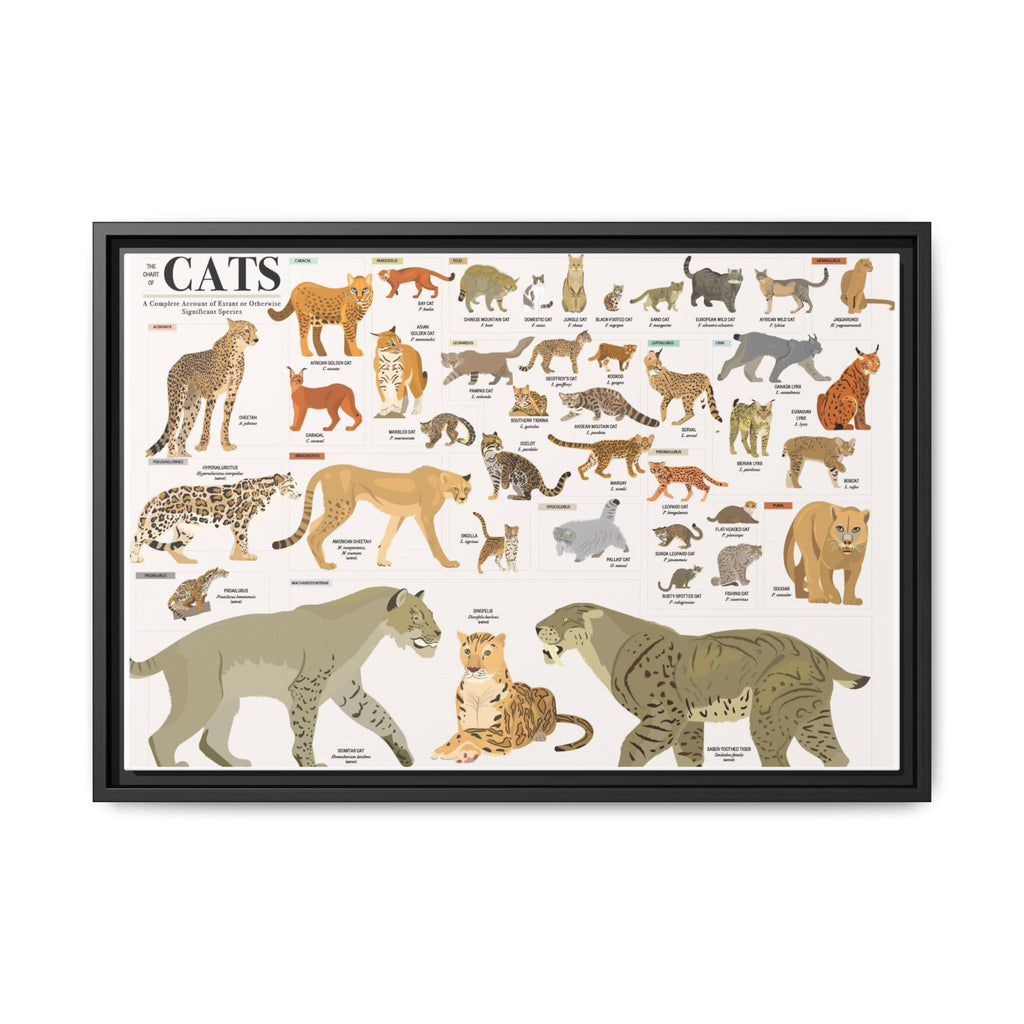 The Chart of Cats Poster, Complete Wild and Domestic Cat Species Chart, Felidae Identification Guide, Big Cats Educational Canvas Print