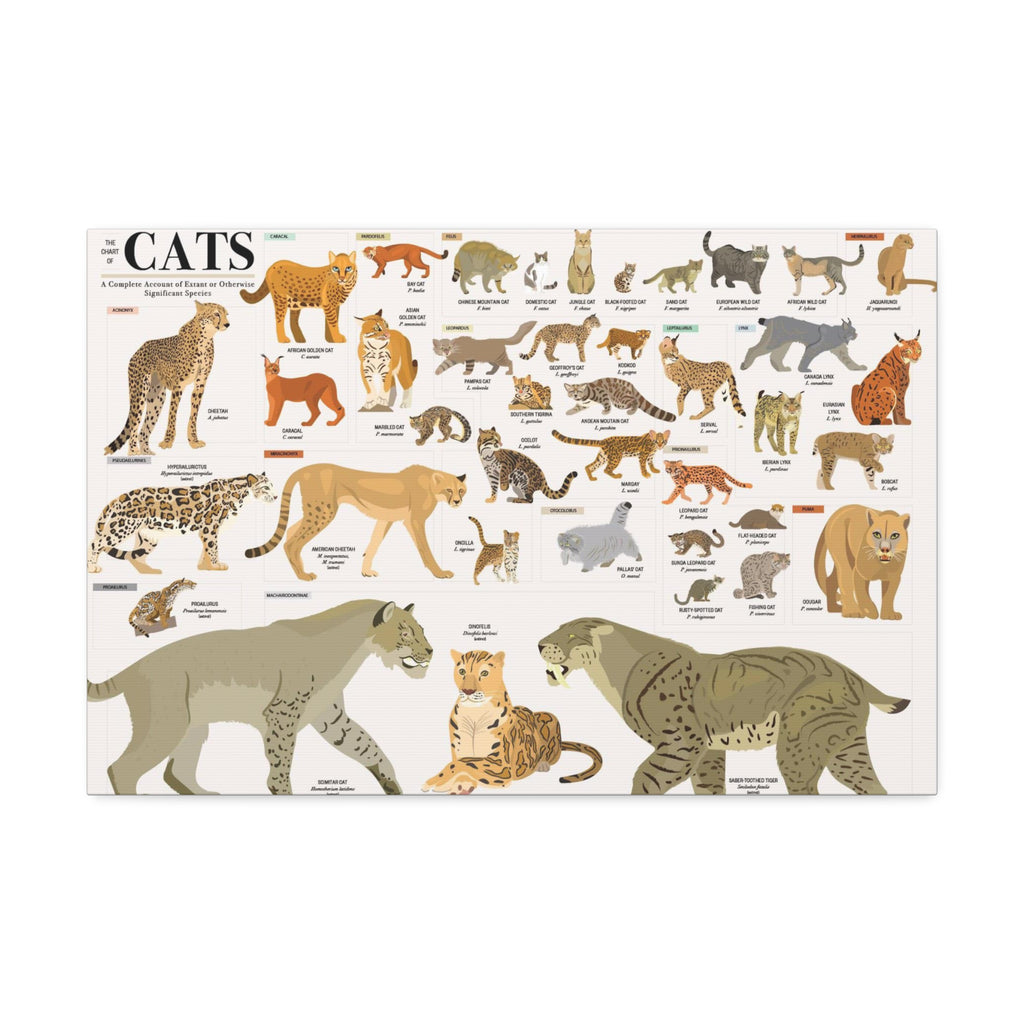 The Chart of Cats Poster, Complete Wild and Domestic Cat Species Chart, Felidae Identification Guide, Big Cats Educational Canvas Print