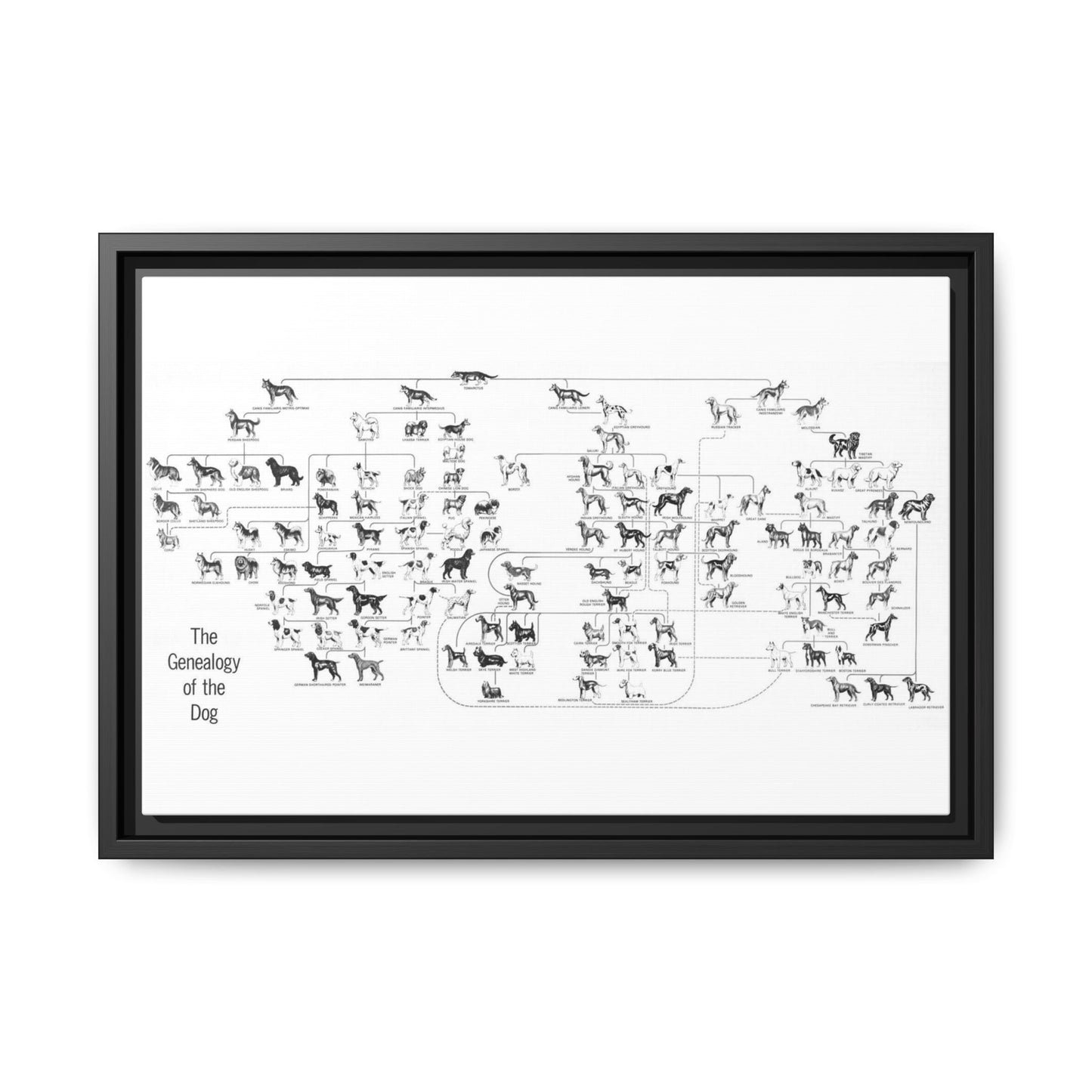The Genealogy Of The Dog Dog Breeds Evolution amily Vertical Poster