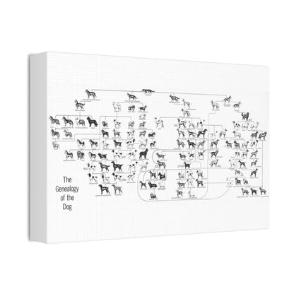 The Genealogy Of The Dog Dog Breeds Evolution amily Vertical Poster