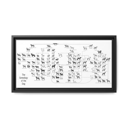 The Genealogy Of The Dog Poster, Dog Breeds Family Tree And Ancestry Horizontal Poster
