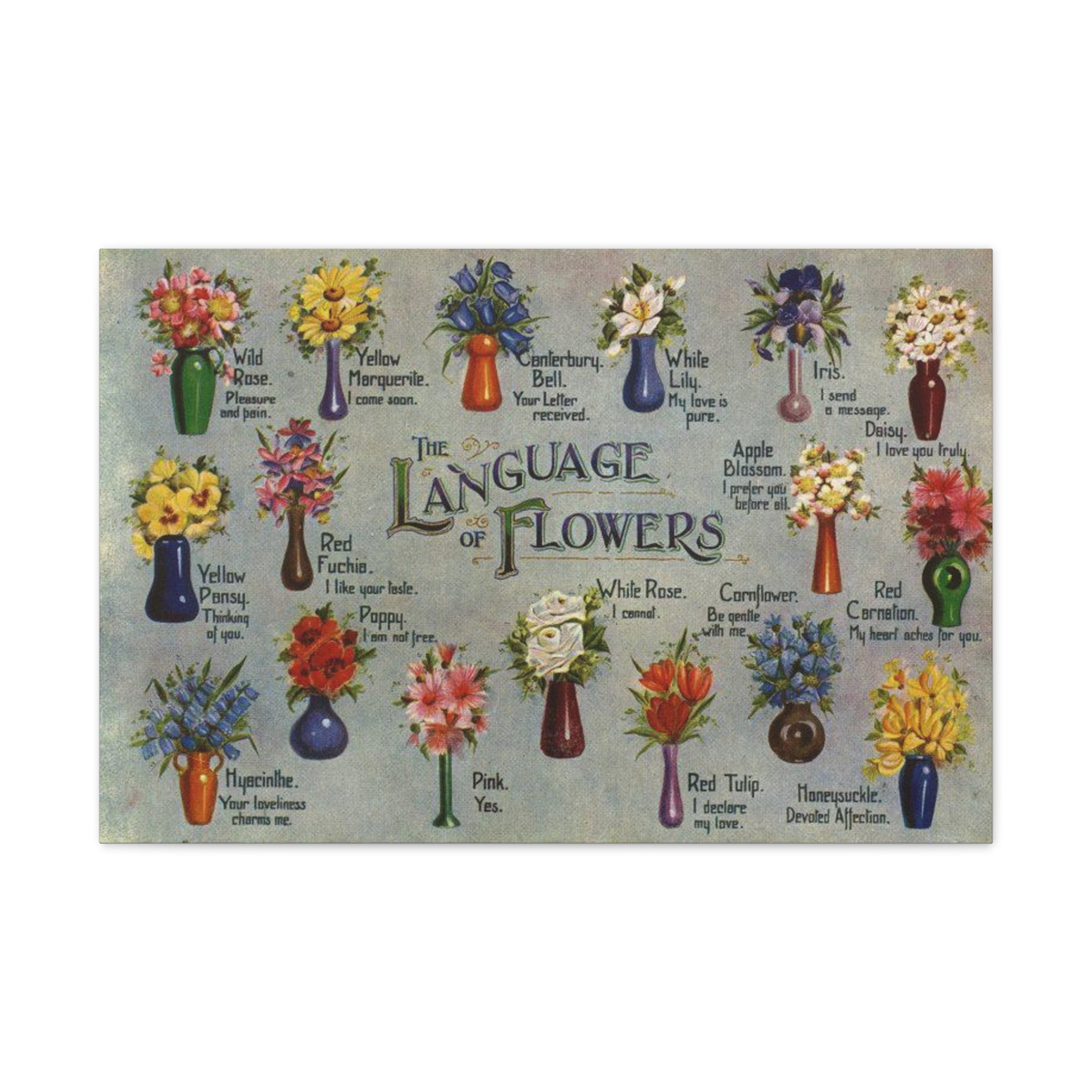 The Language of Flowers Poster, Victorian Floriography Chart Print, Flower Meaning Wall Art, Botanical Vintage Decor Gift