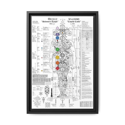 The Occult Anatomy 2020 Edition - This diagram represents 7 years of study, research and illustration