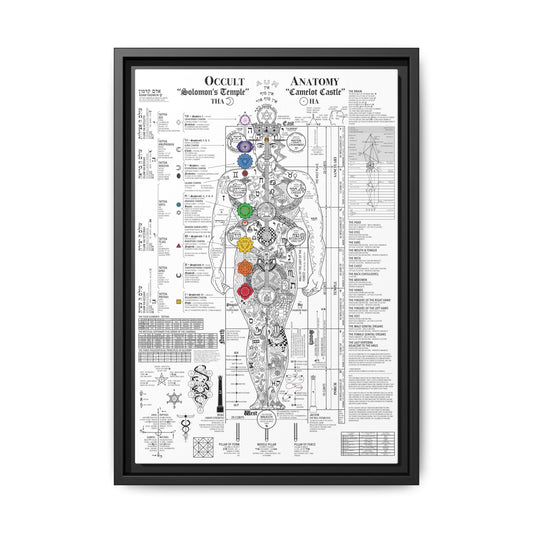 The Occult Anatomy 2020 Edition - This diagram represents 7 years of study, research and illustration