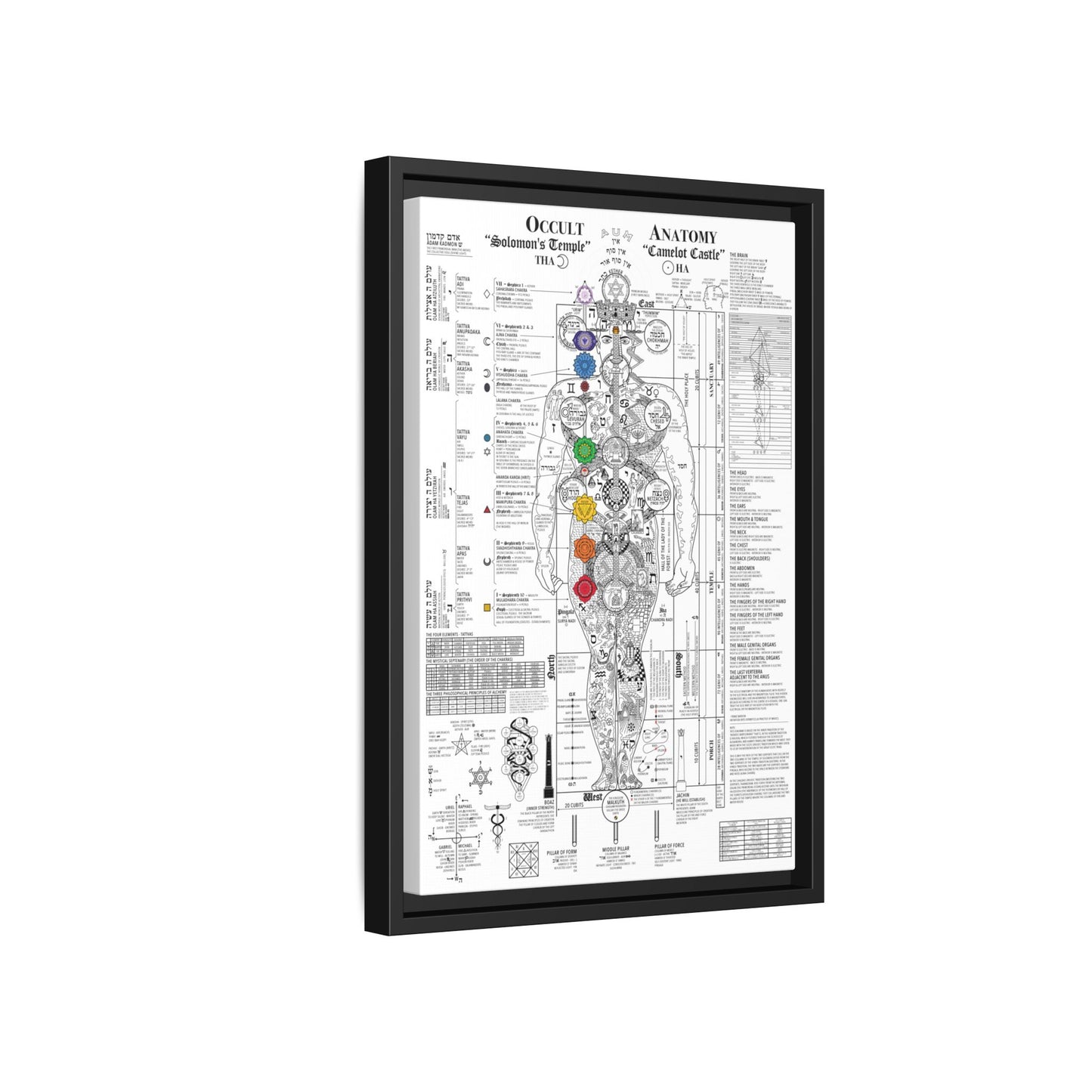 The Occult Anatomy 2020 Edition - This diagram represents 7 years of study, research and illustration
