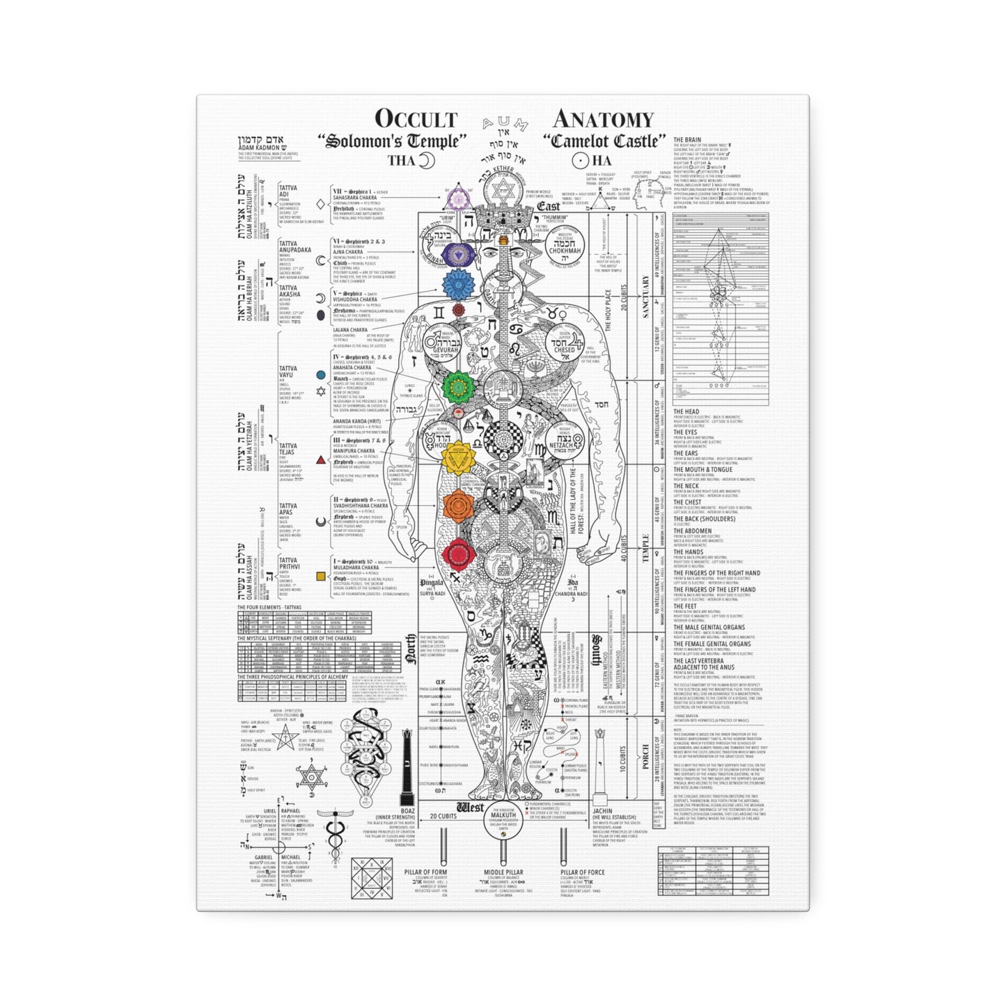 The Occult Anatomy 2020 Edition - This diagram represents 7 years of study, research and illustration