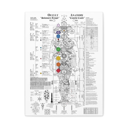 The Occult Anatomy 2020 Edition - This diagram represents 7 years of study, research and illustration