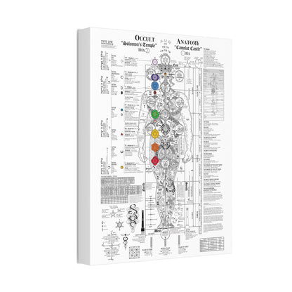The Occult Anatomy 2020 Edition - This diagram represents 7 years of study, research and illustration