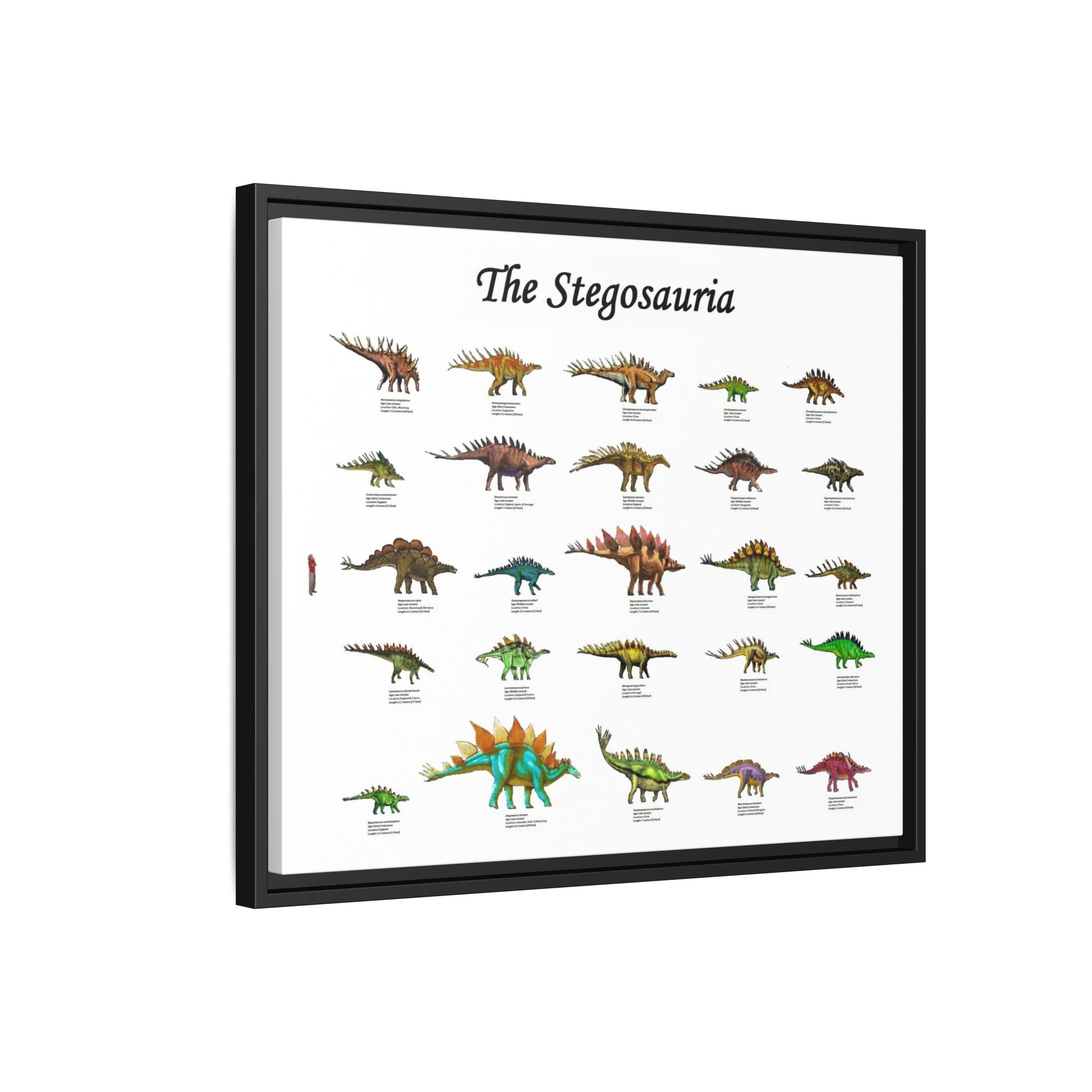 The Stegosauria Vertical Poster and Canvas