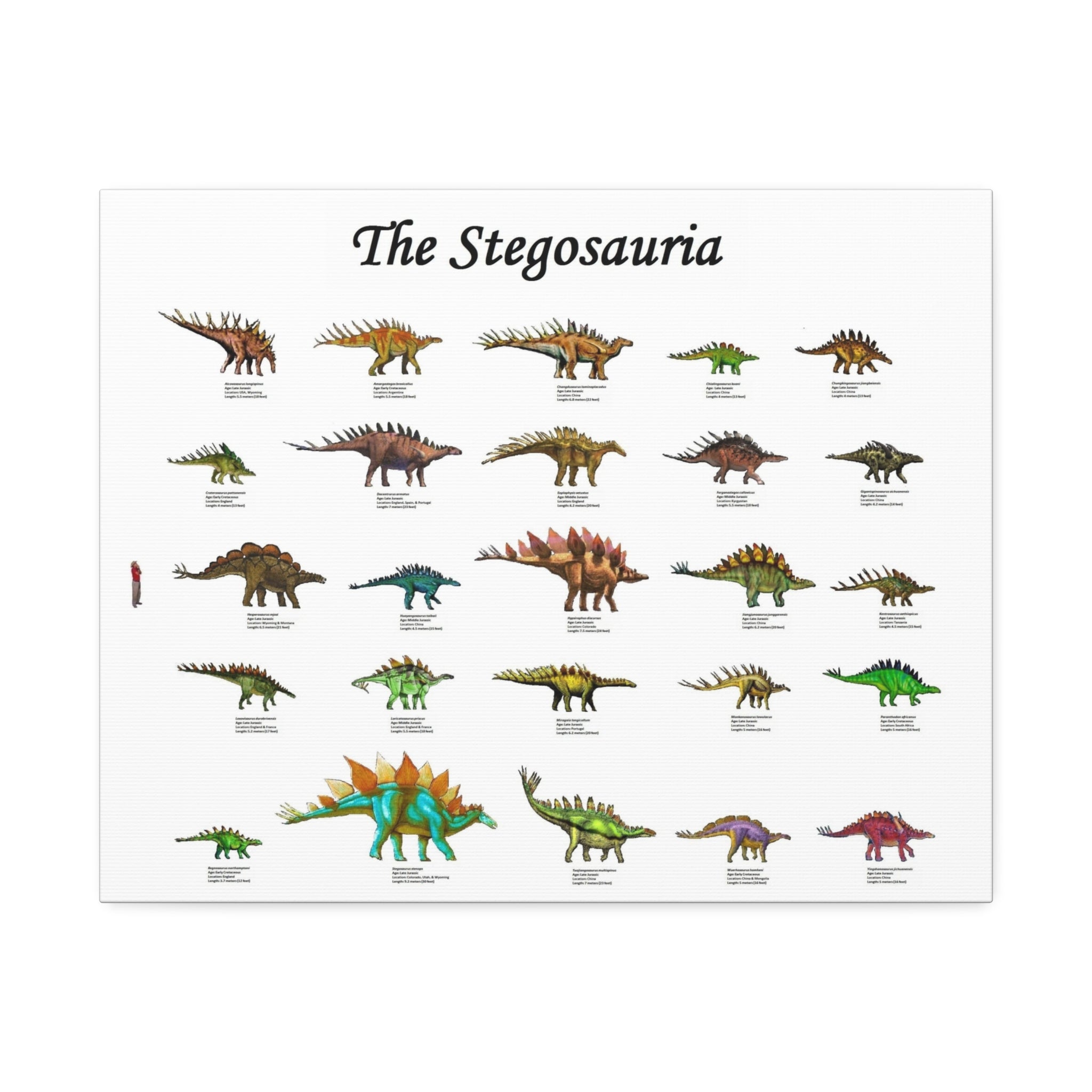 The Stegosauria Vertical Poster and Canvas