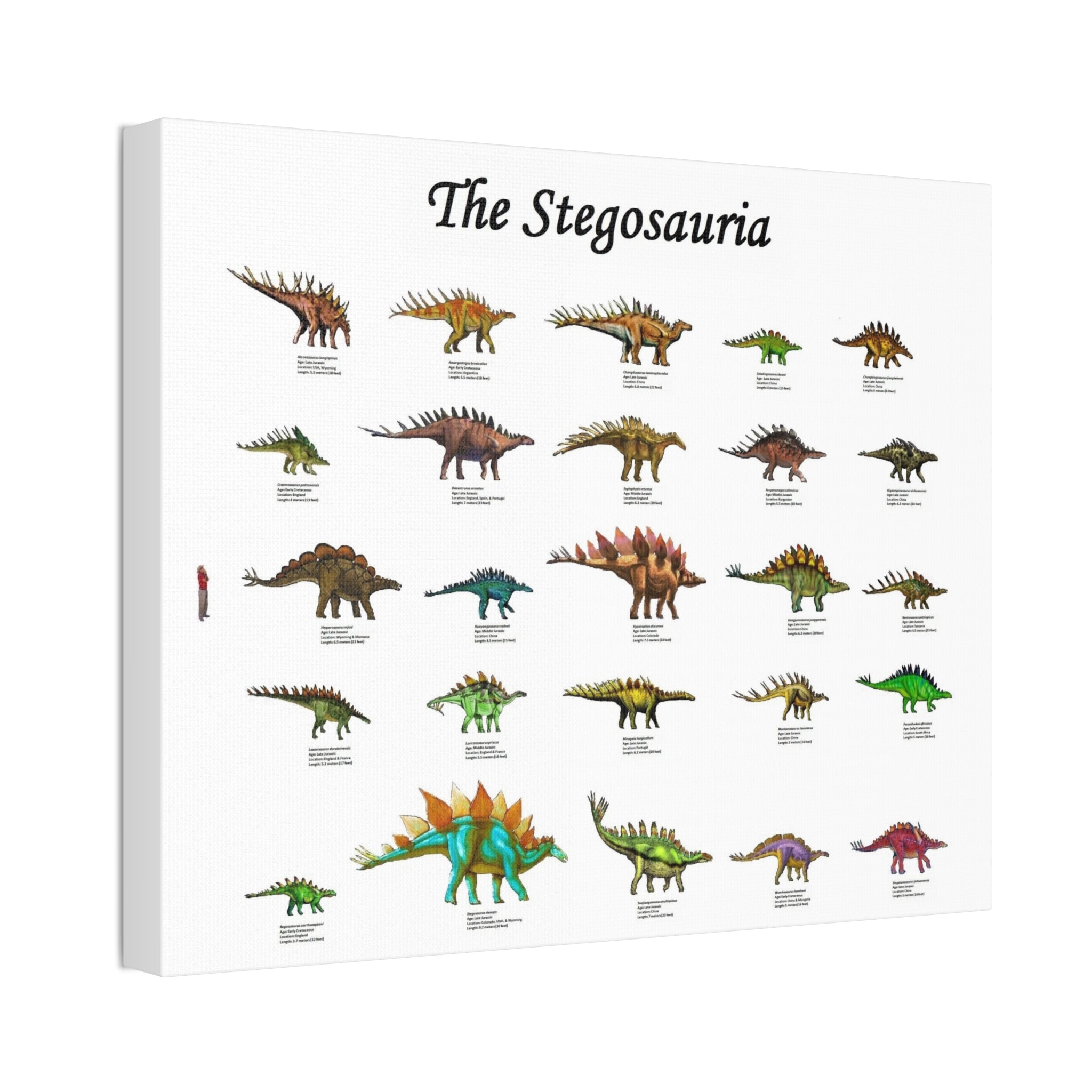 The Stegosauria Vertical Poster and Canvas