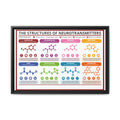 The Structures of Neurotransmitters Poster, Brain Neurotransmitter Chemical Structures Chart, Educational Neuroscience Canvas Print