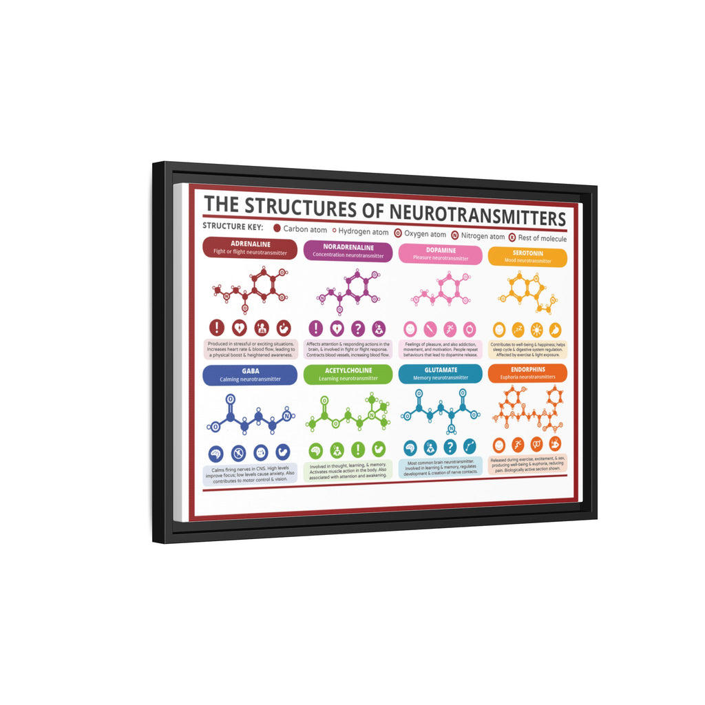 The Structures of Neurotransmitters Poster, Brain Neurotransmitter Chemical Structures Chart, Educational Neuroscience Canvas Print