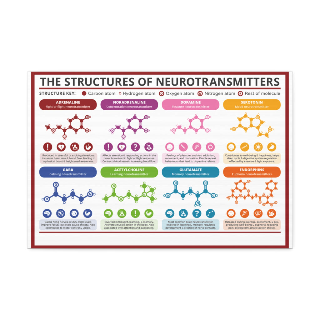 The Structures of Neurotransmitters Poster, Brain Neurotransmitter Chemical Structures Chart, Educational Neuroscience Canvas Print