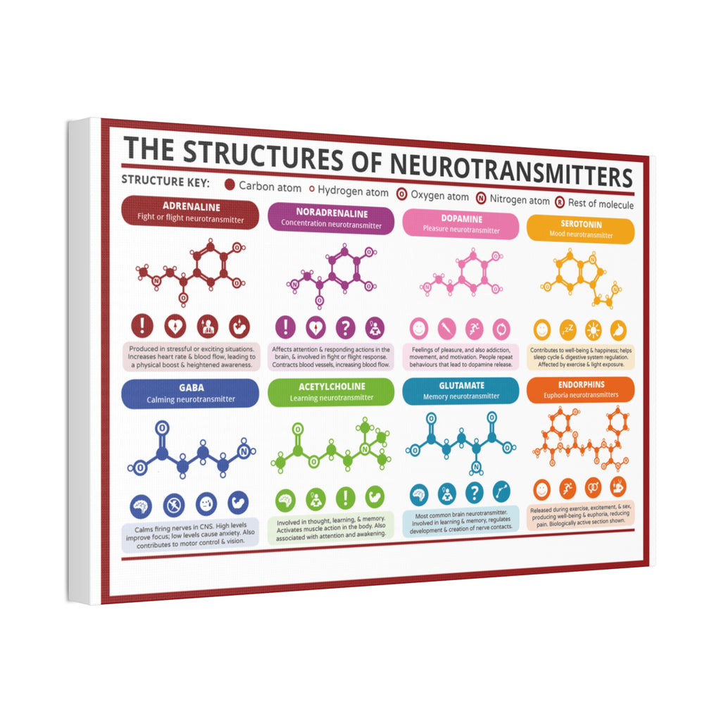 The Structures of Neurotransmitters Poster, Brain Neurotransmitter Chemical Structures Chart, Educational Neuroscience Canvas Print