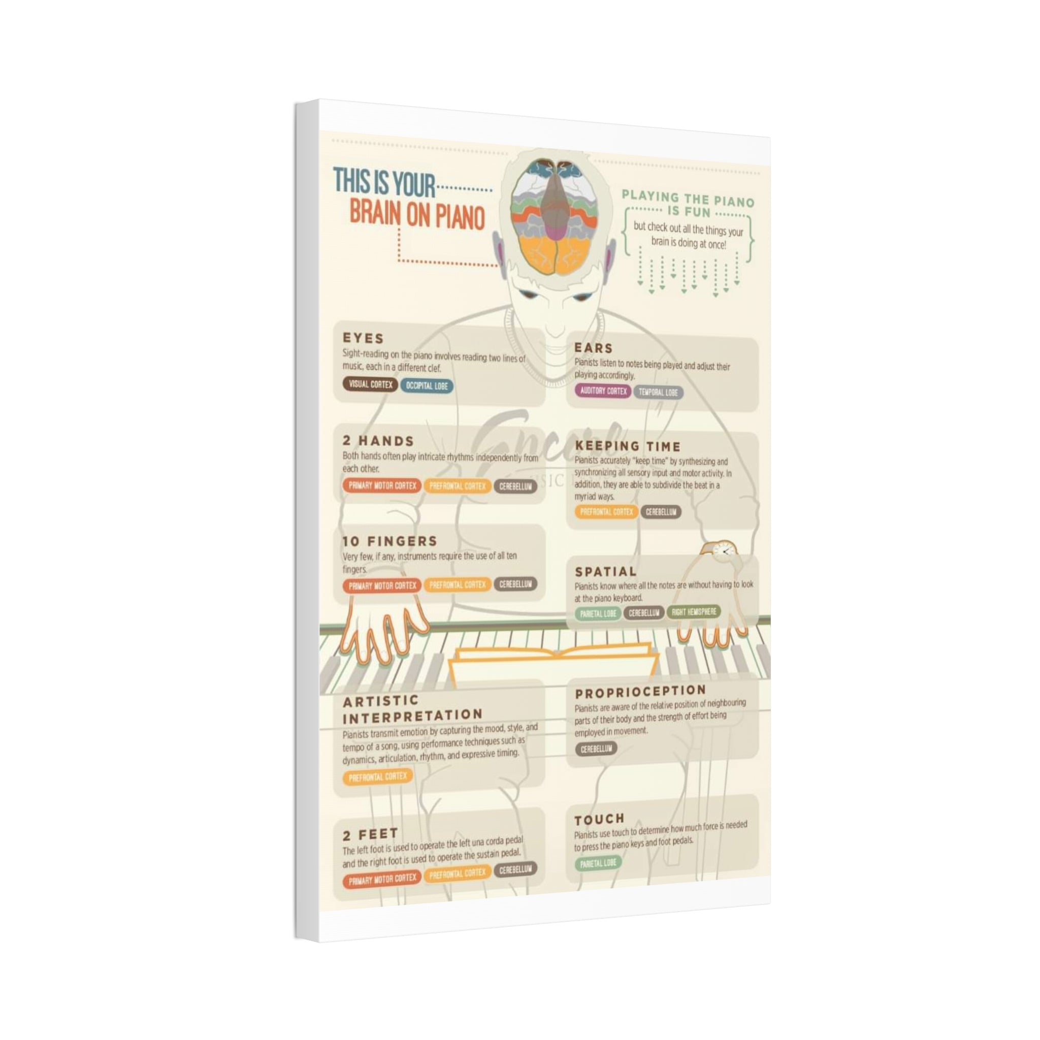 This Is Your Brain on Piano Playing the Piano Is Fun Vertical Poster and Canvas
