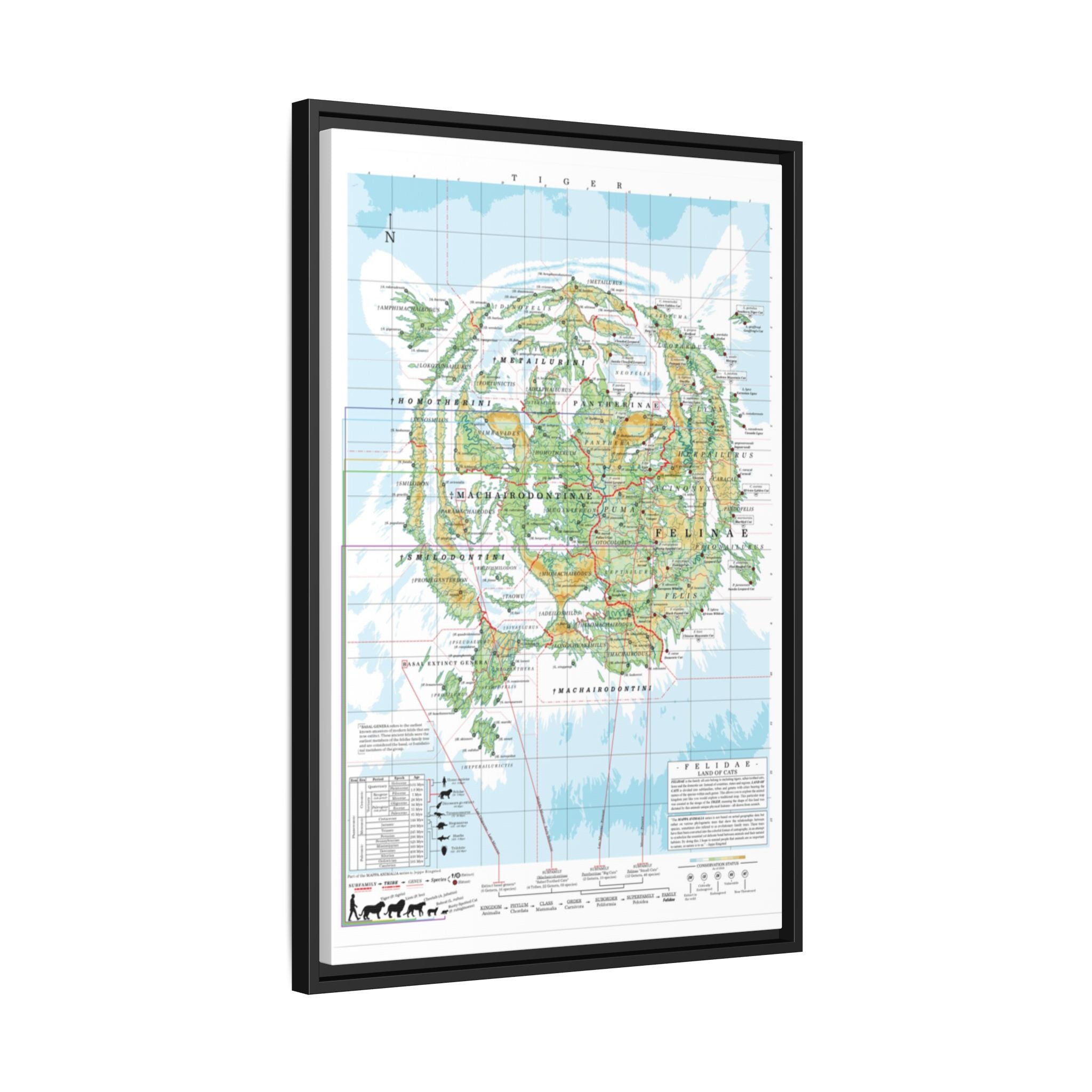 Tiger Family Tree Map Poster, Felidae Evolution Chart Print, Big Cat Species Identification Wall Art, Wildlife Gift