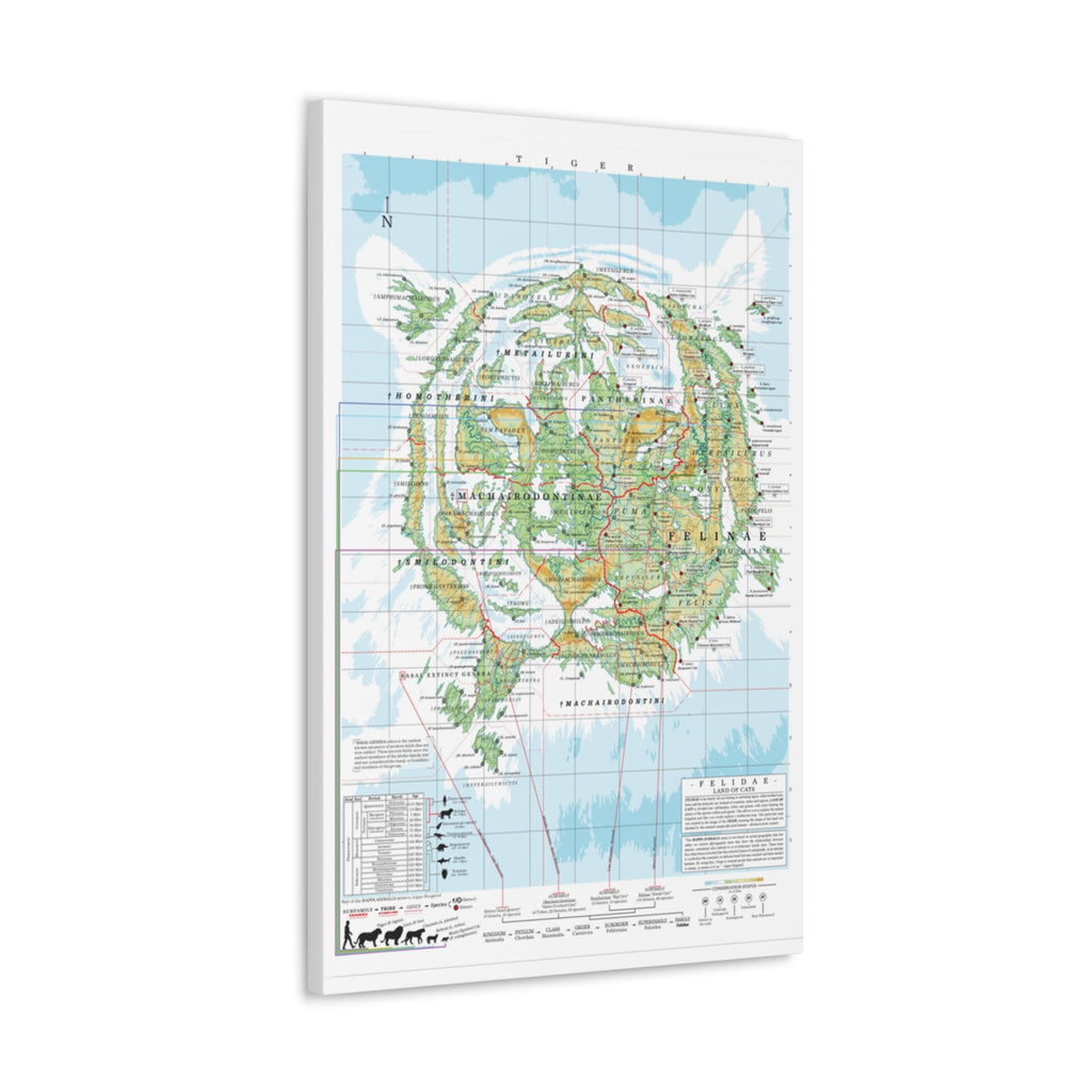 Tiger Family Tree Map Poster, Felidae Evolution Chart Print, Big Cat Species Identification Wall Art, Wildlife Gift