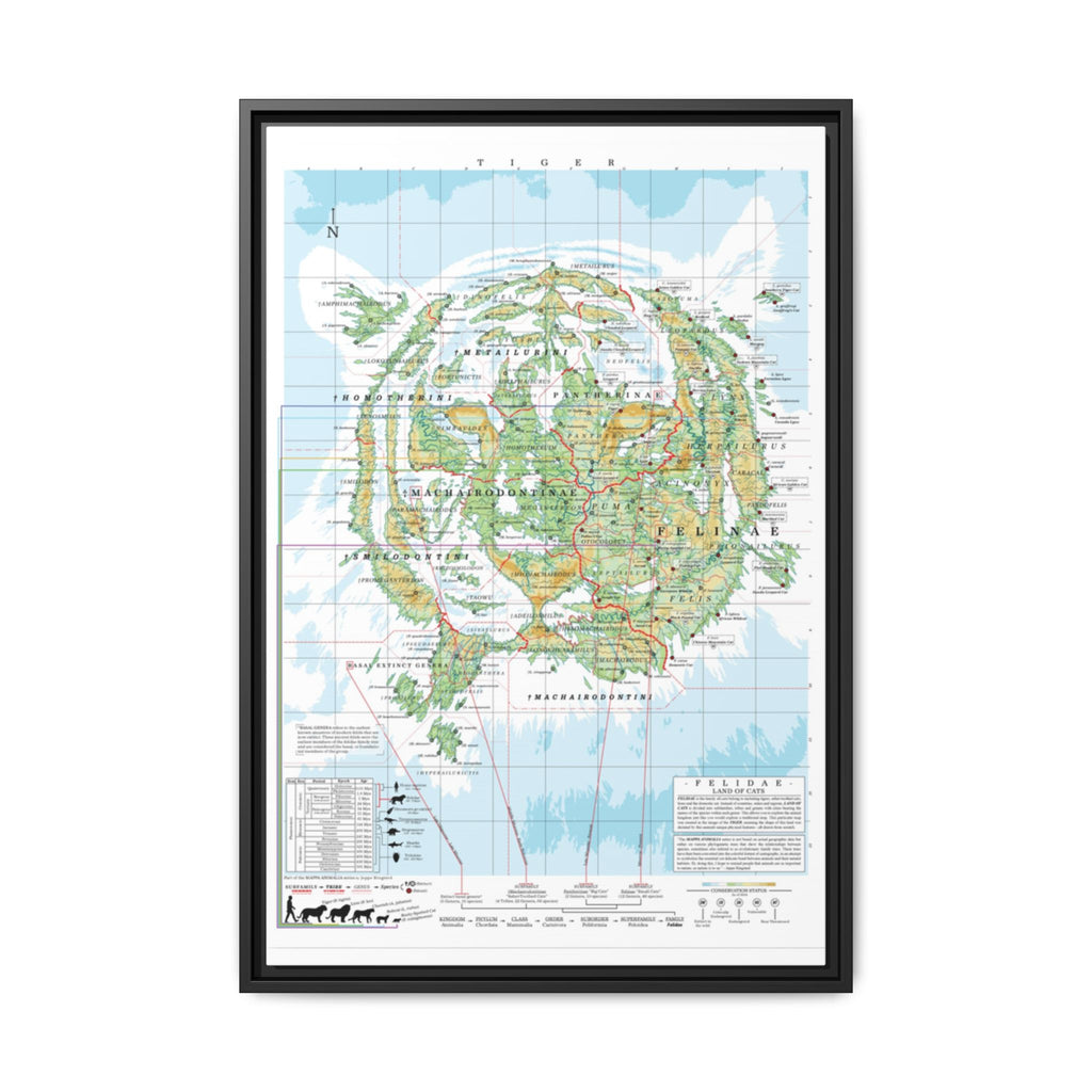 Tiger Family Tree Map Poster, Felidae Evolution Chart Print, Big Cat Species Identification Wall Art, Wildlife Gift