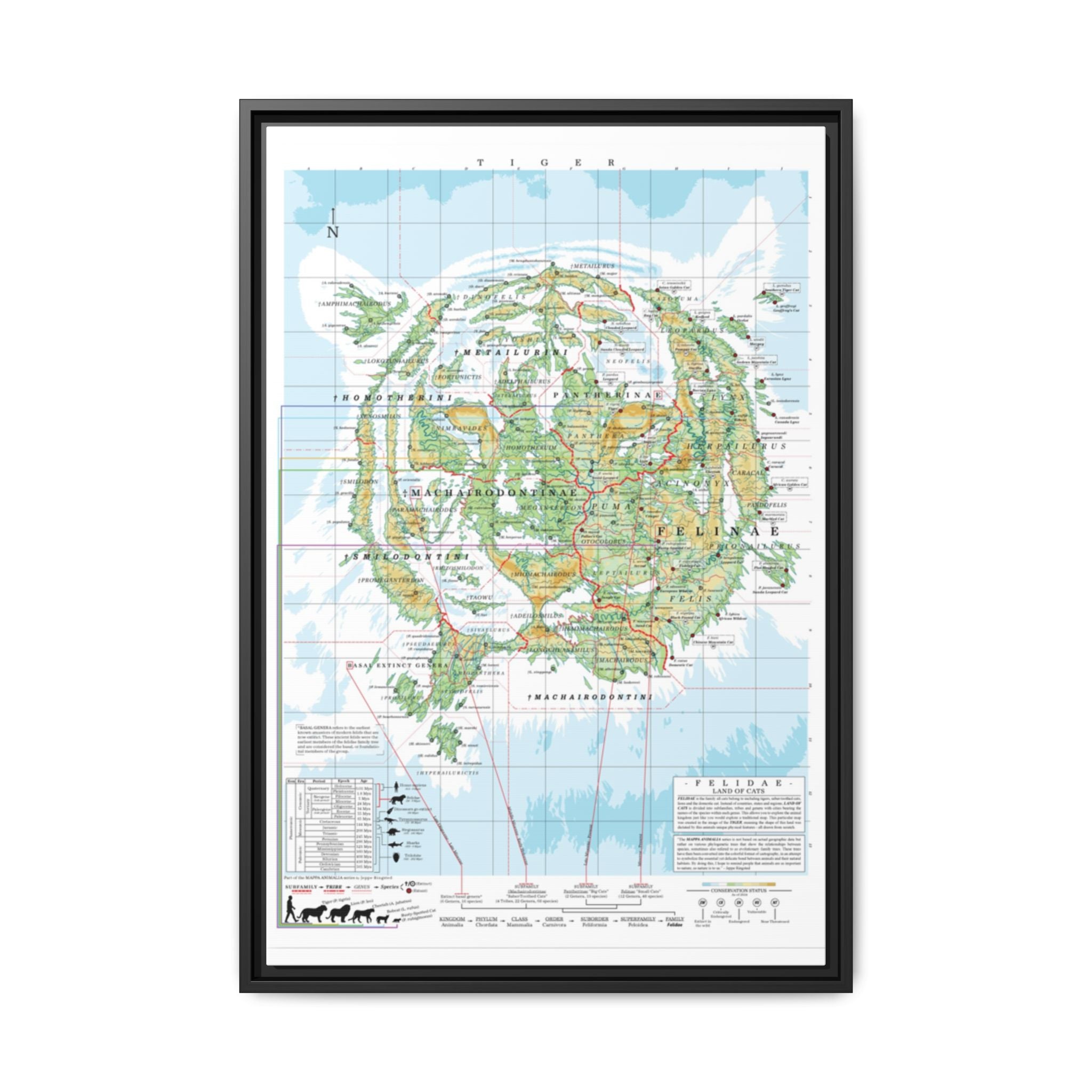 Tiger Family Tree Map Poster, Felidae Evolution Chart Print, Big Cat Species Identification Wall Art, Wildlife Gift