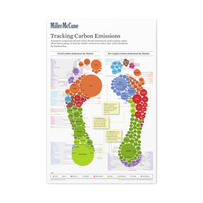 Tracking Carbon Emissions Total Carbon Emissions Vertical Poster