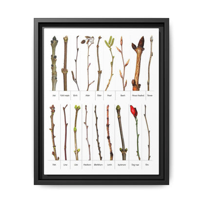 Tree Bud Identification Guide Vertical Poster