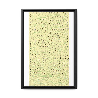 Tree Of Birds Species Identification Poster, Bird Evolution Guide Vertical Poster