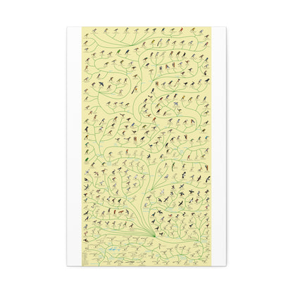 Tree Of Birds Species Identification Poster, Bird Evolution Guide Vertical Poster