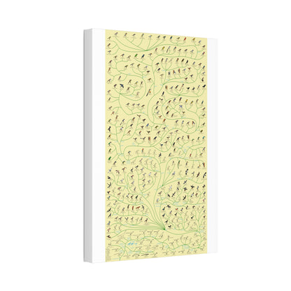 Tree Of Birds Species Identification Poster, Bird Evolution Guide Vertical Poster