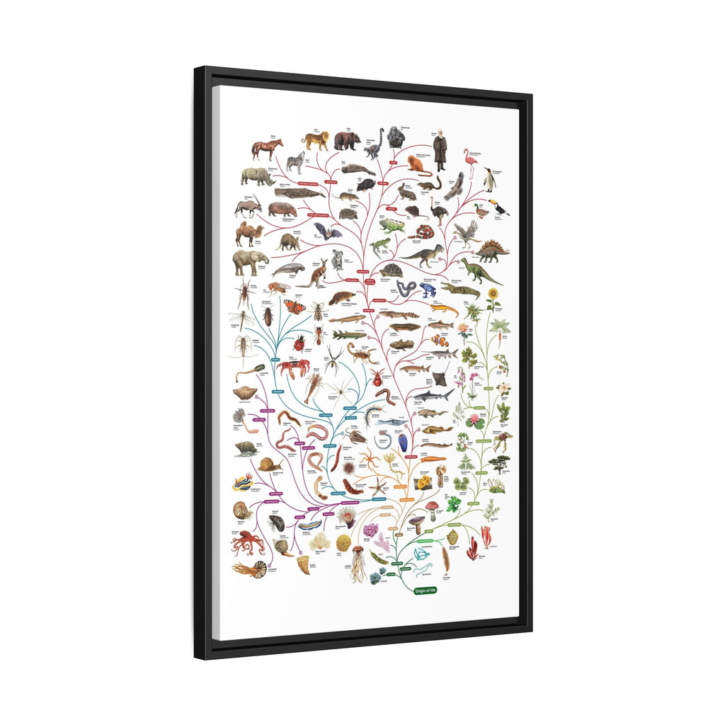 Tree of Life Poster, Evolution of Life on Earth, Illustrated Species Classification Chart, Educational Science Wall Art Canvas Print