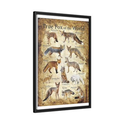 True Fox Of The World Bengal Fox Ruppell's Vertical Canvas And Poster