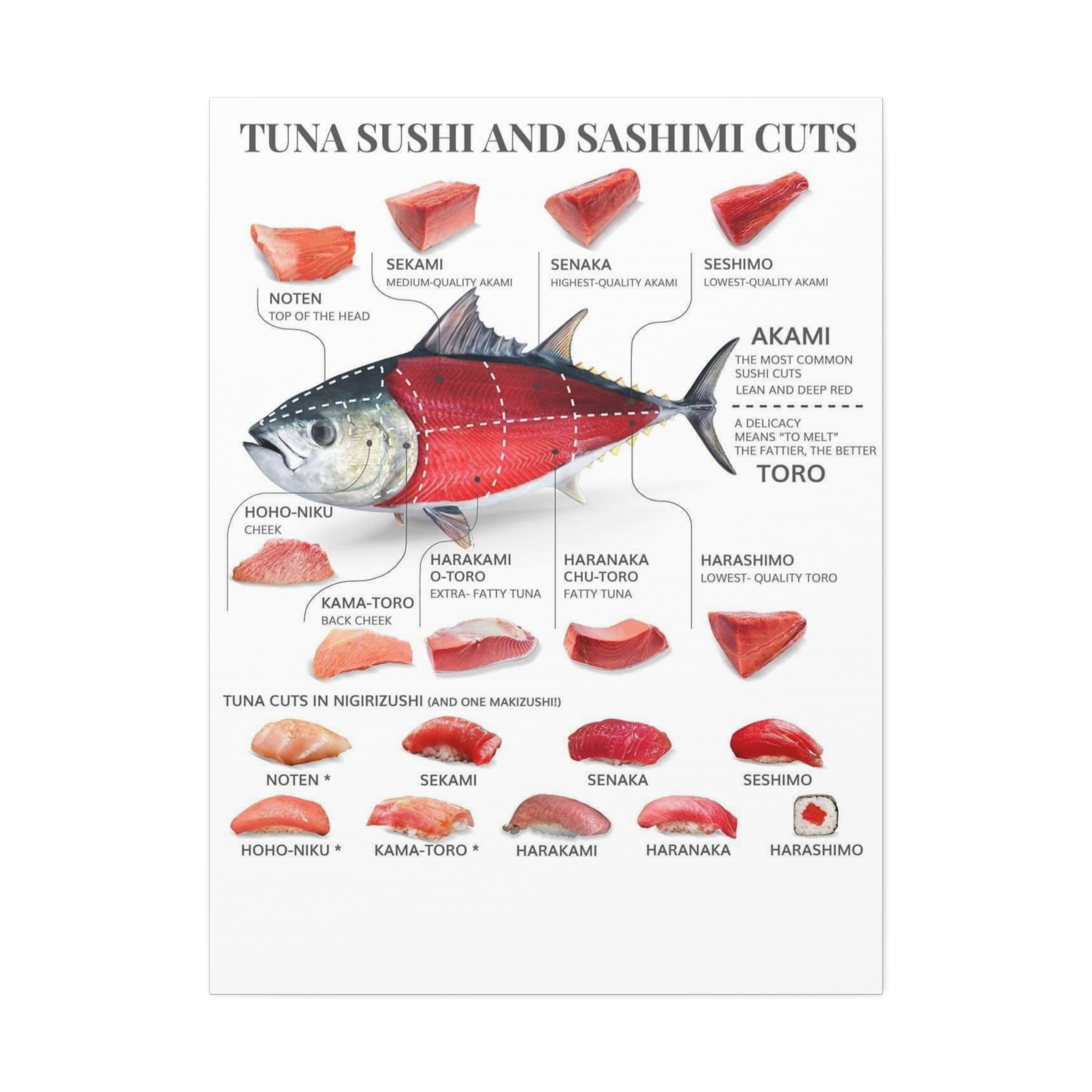 Tuna Sushi and Sashimi Cuts Poster, Bluefin Tuna Cut Guide Chart, Akami and Toro Sushi Reference, Japanese Seafood Educational Canvas Print
