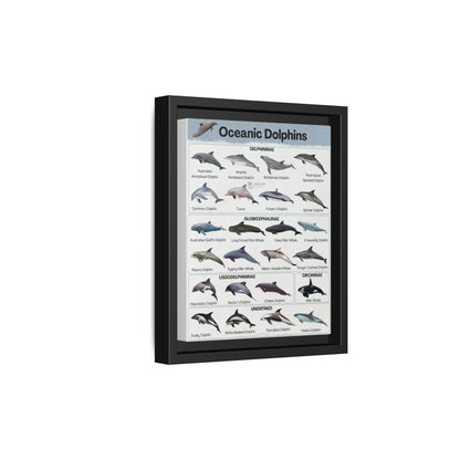 Type Of Oceanic Dolphins Delphininae, Globicephalinae, Lissodelphininae, Orcininae Undefined Vertical Canvas And Poster