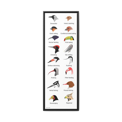 Types Of Bird Beaks And Feeding Adaptations Poster, Wildlife Guide Vertical Poster
