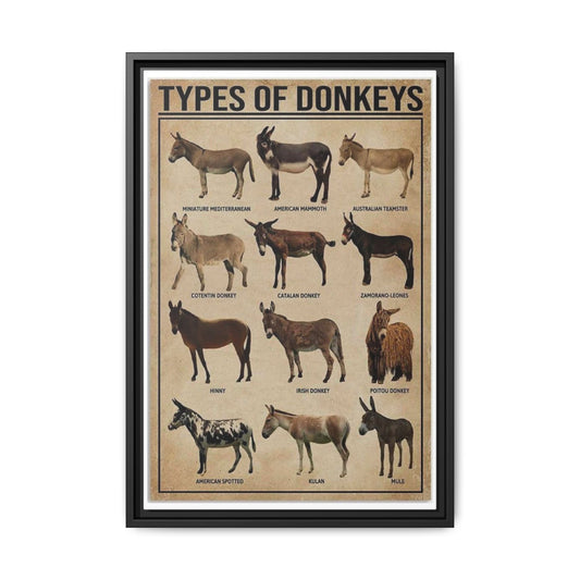 Types Of Donkeys Vertical Poster